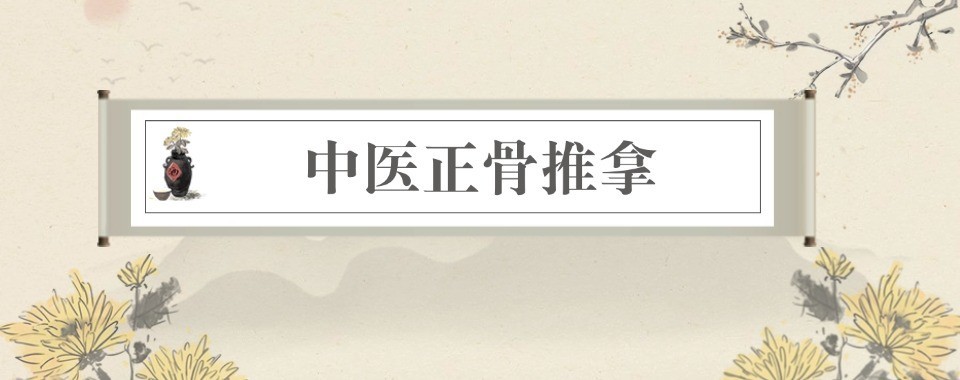 北京十大中医推拿正骨实训机构品牌实力榜单
