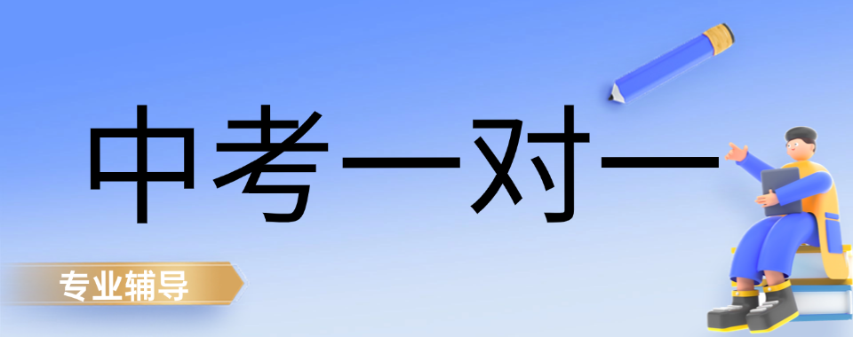 上海初三个性化教学:中考一对一文化课辅导培训机构