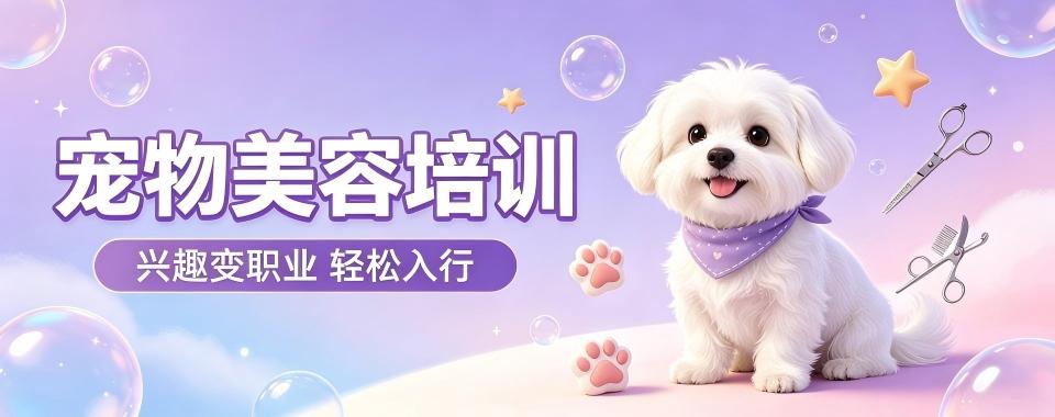 江苏宠物美容师培训机构哪家强？全方位对比告诉你