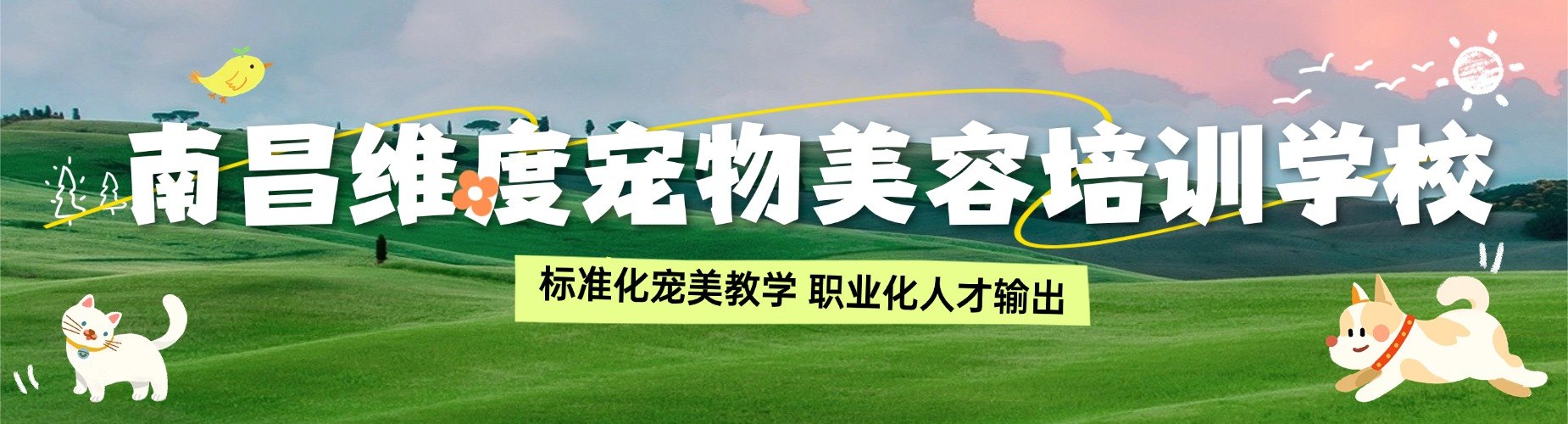 本地排名|南昌宠物美容培训机构资深名单排名榜首揭晓
