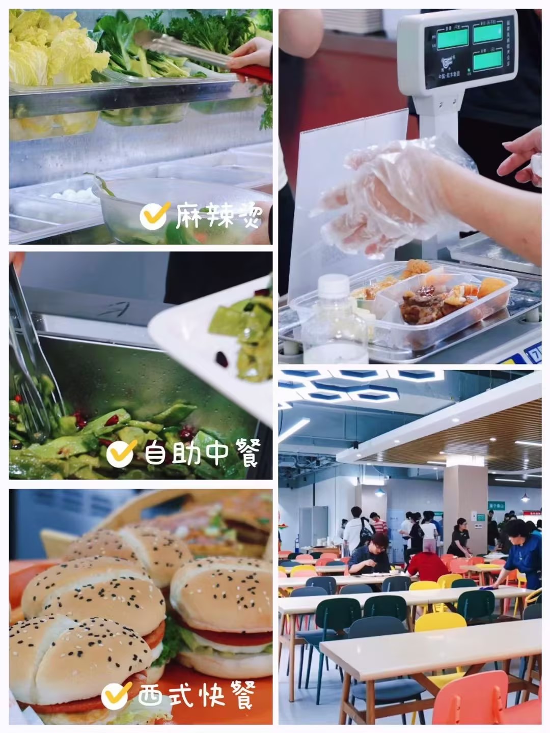 TOP十河南郑州专升本辅导计划汇总一览:精准匹配,开启名校本科之旅