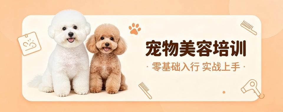 四川省成都市宠物美容培训机构哪家好?专业对比看这里