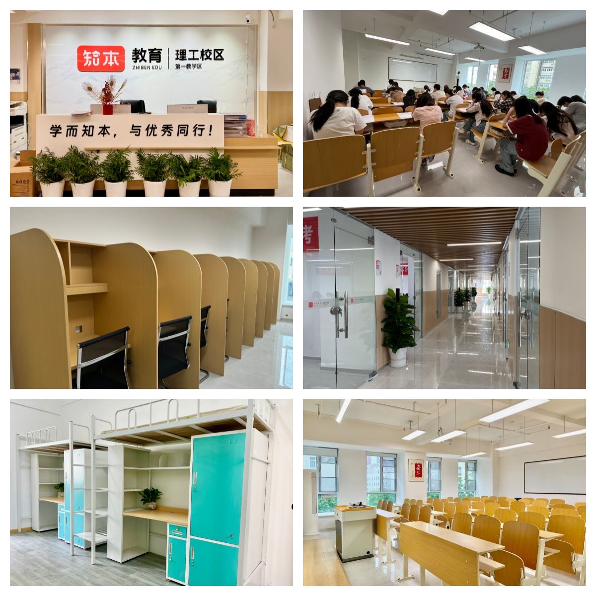 学员推荐|湖北洪山区专升本培训机构10大排名榜盘点