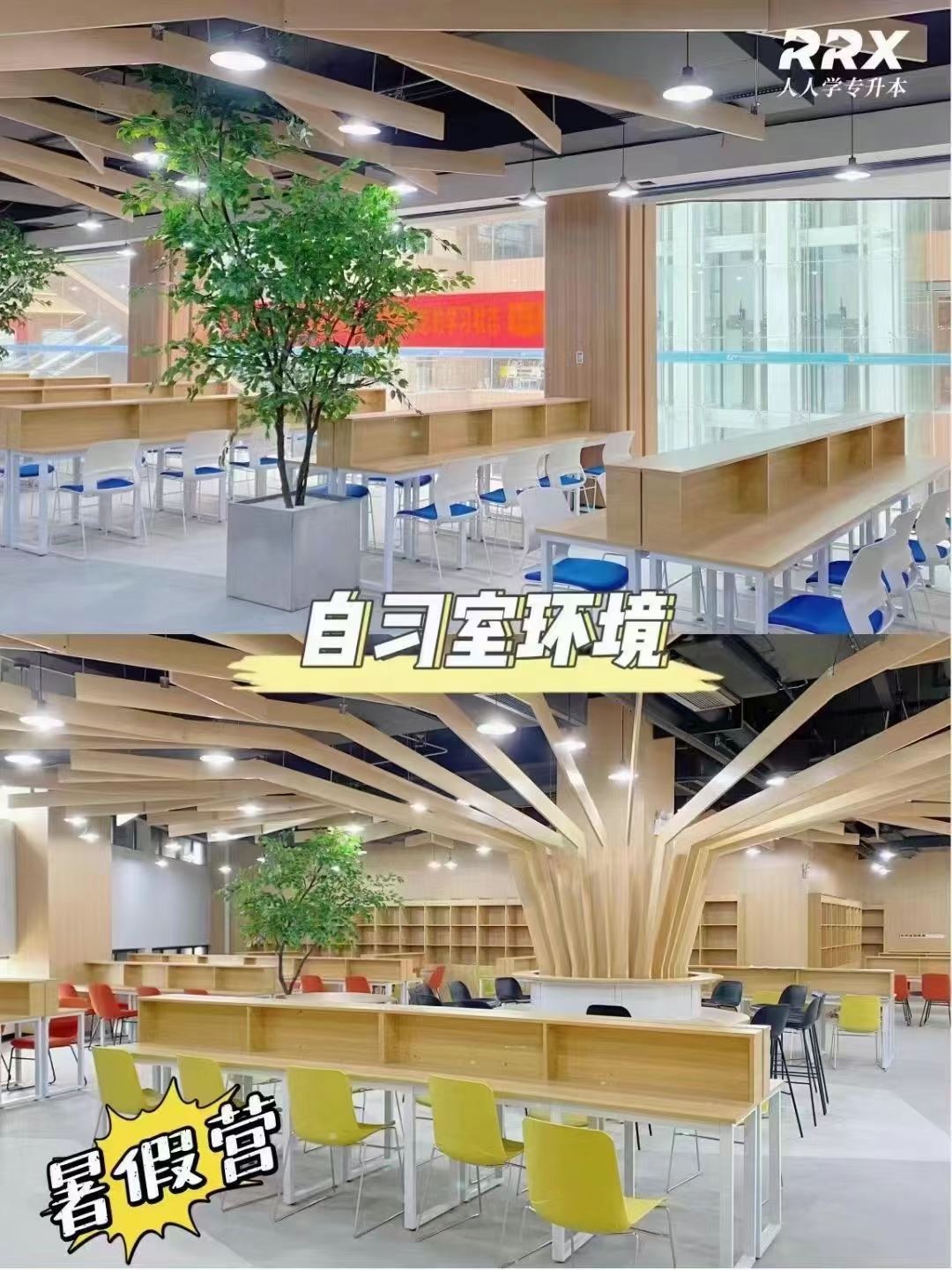 湖南长沙专业的统招专升本学历提升培训机构名单总览公布