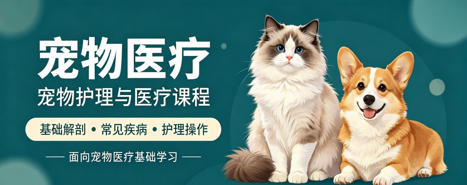 杭州市宠物医疗培训机构哪家强?全方位测评揭秘