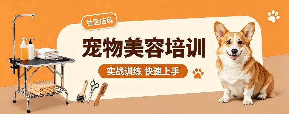 江苏学习宠物美容必看！优质的培训机构口碑排行榜大揭秘