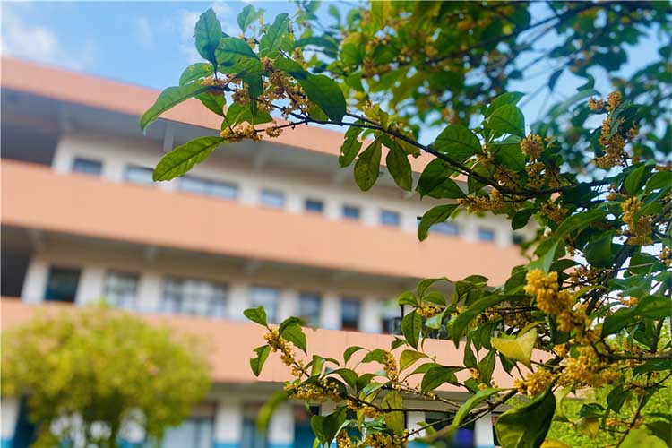 精选四川三大素质教育学校名单一览