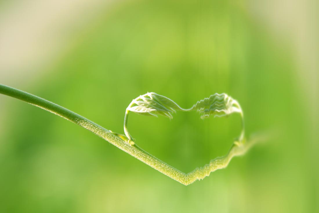 揭秘北京六大心理咨询师培训机构名单一览