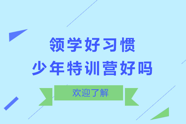 上海领学好习惯少年特训营好不好