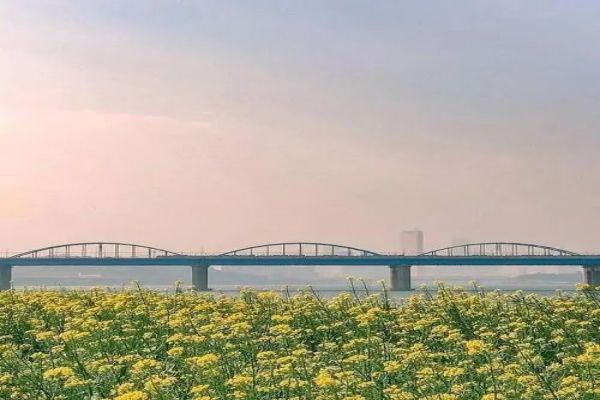 广州知名且口碑良好的高三复读补习班前十大排名推荐一览