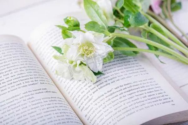 广东省广州一直比较火的高三复读补习班名单榜首一览表