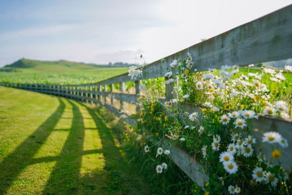云南8大师资比较强的高三复读学校排名名单汇总不容错过