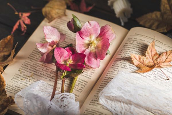 五大广东省广州正规高考复读培训机构排名全新出炉