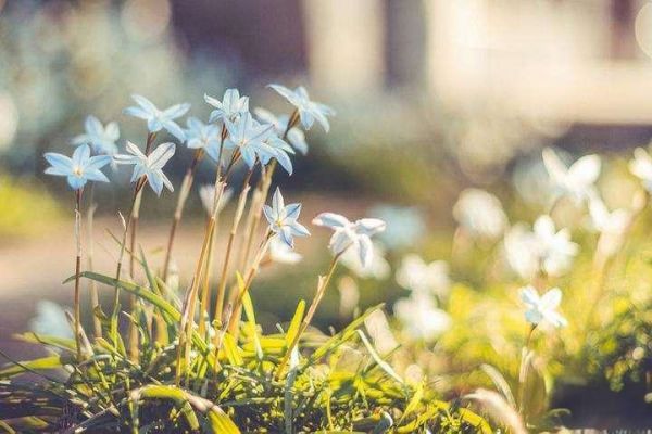 家长必看‖南京十大热门高中高三复读培训机构推荐！