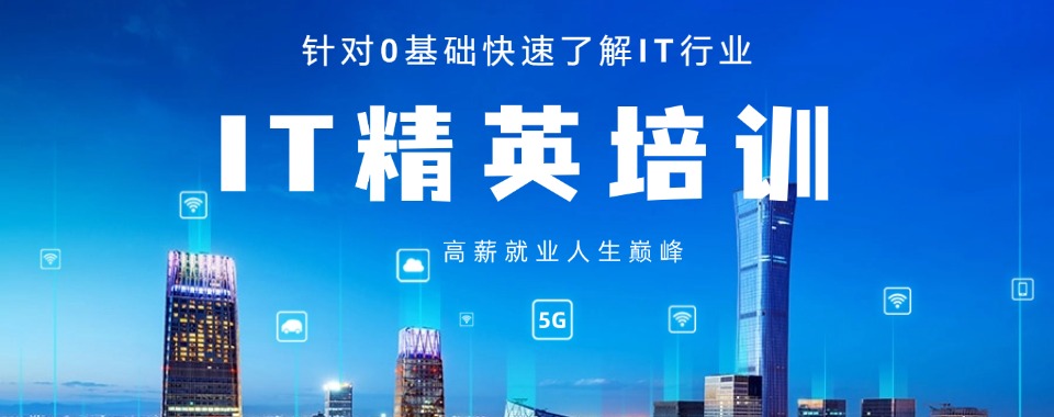 TOP5！重庆大渡口区IT编程培训机构本地优选机构实力排名
