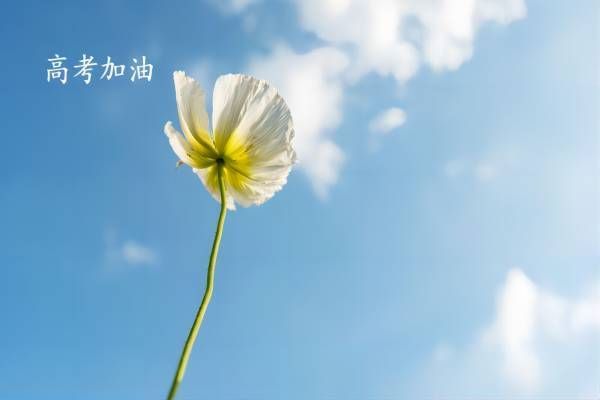 安徽太和十大好评高考辅导学校名单更新一览