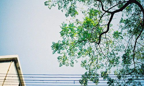 盘点广东省广州10大正规的高中复读学校排行榜一览