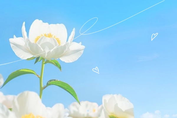 广东省广州评价不错的高考复读培训机构名单榜首一览