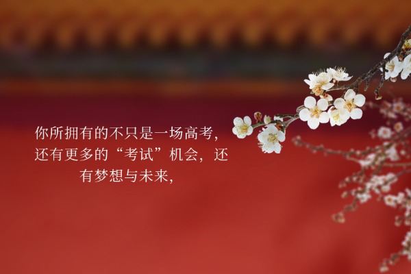 四川省成都知名且口碑良好的高考复读学校排行榜名单公布一览