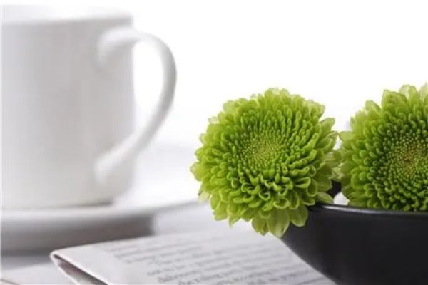 广东省深圳十大受欢迎的ssat培训机构名单榜一览