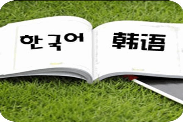 泉州口碑靠谱的韩语培训机构排行榜名单出炉