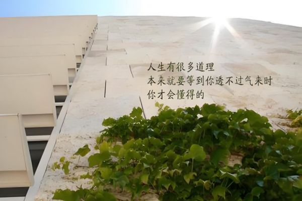 甄选！贵州知名的正规高考复读学校实力排名汇总