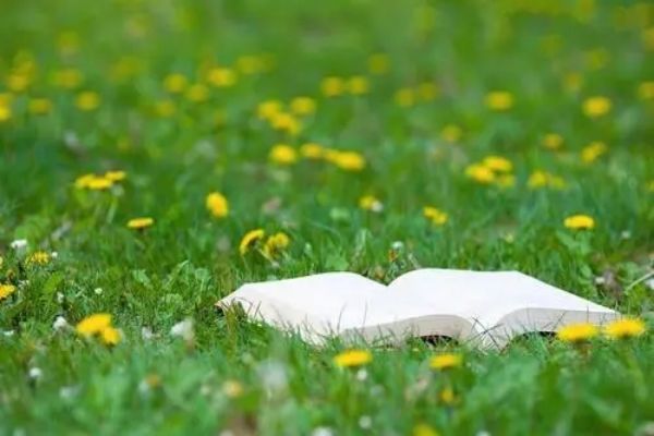 东莞top榜前六的高考复读学校排行榜名单更新
