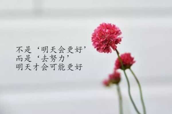 强烈推荐！！！东莞前五的高三高考补习复读学校名单排行榜