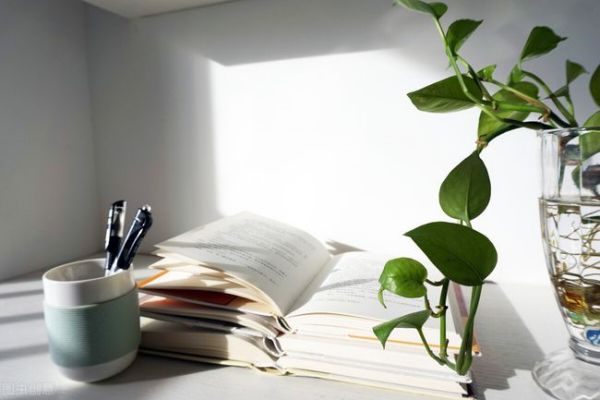 云南口碑好的艺考文化课辅导top10名单一览