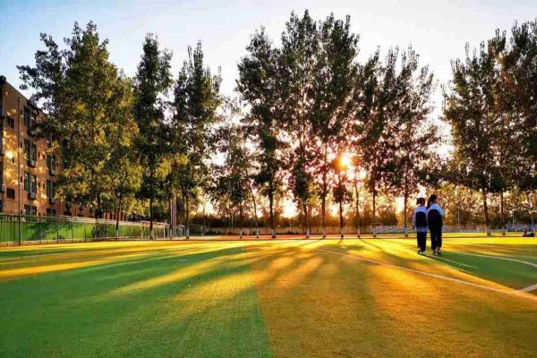 四川省成都备受欢迎的高三复读培训机构排行榜名单更新