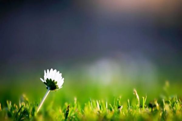 贵州四大中考冲刺专业课辅导机构名单一览