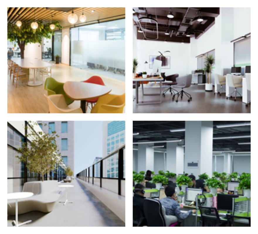 盘点!武汉东西湖区雅思考试辅导班top5名单一览