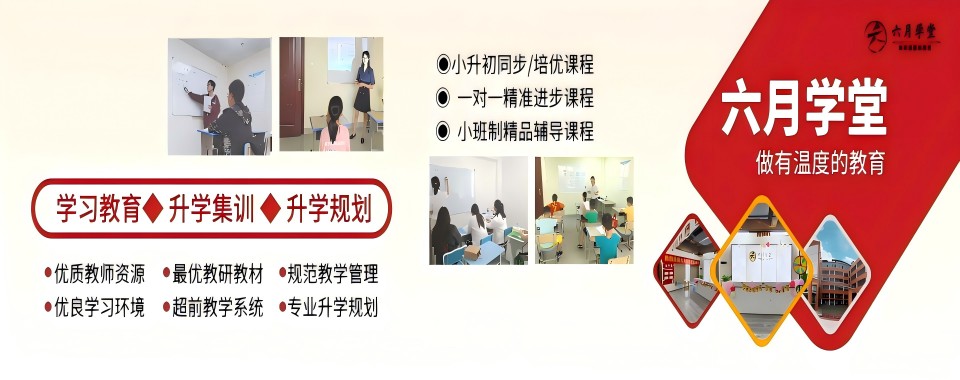 南宁青秀区新高三全日制辅导班2025排名好的top10一览