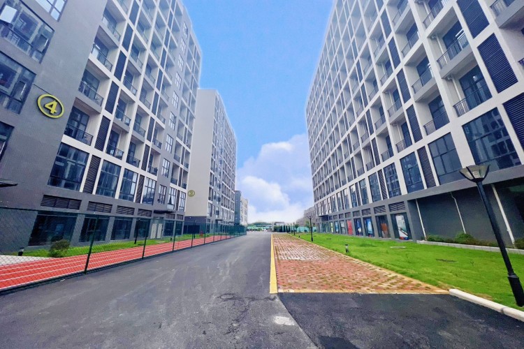 广东慧能教育环境图