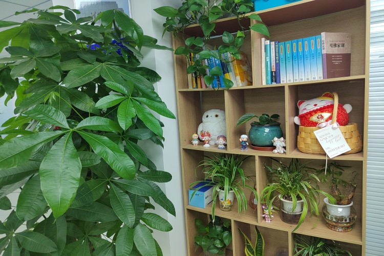 天津新起点·小初高校区环境