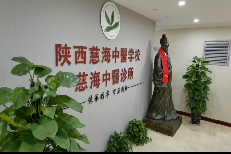 陕西慈海中医教育