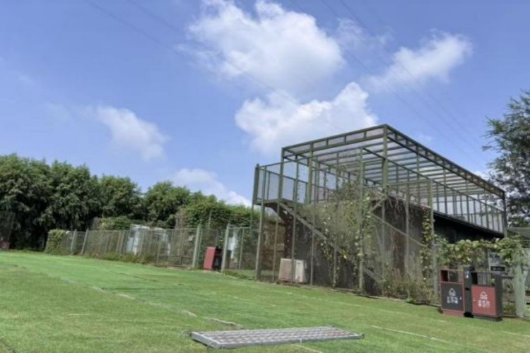 北京玖鹰无人机校区环境图