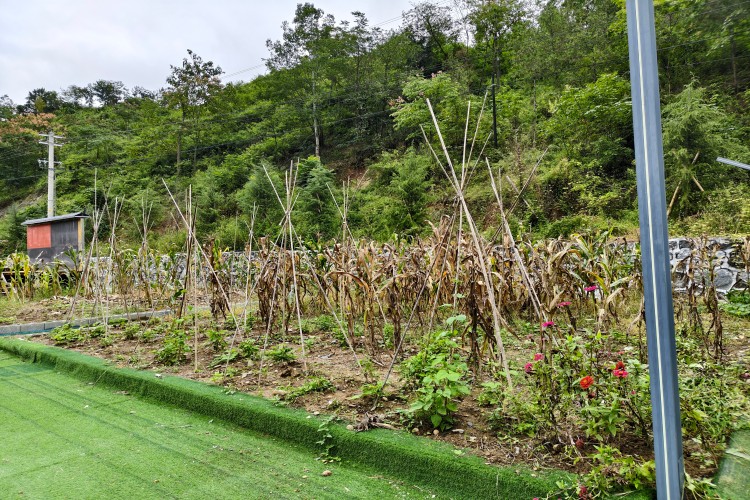安康精睿正向引导基地校区环境图
