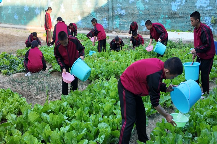 广西新知行励志教育环境图