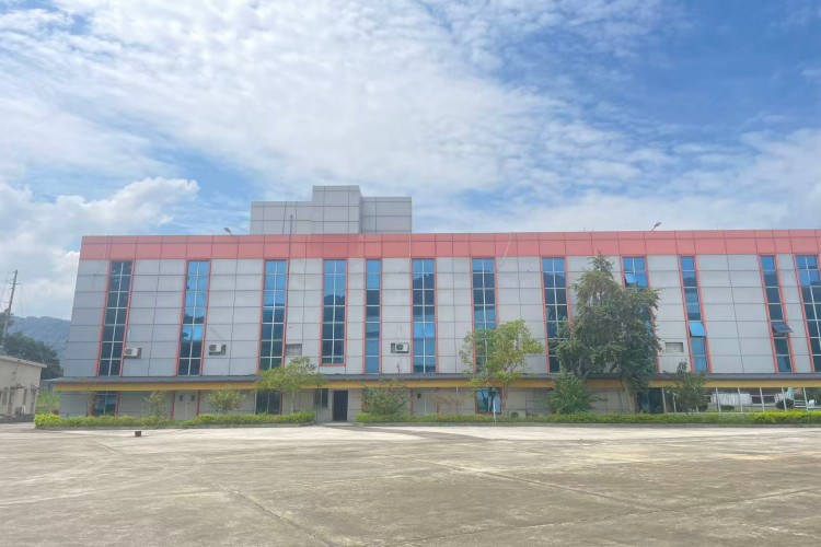 广东战龙青少年素质教育环境图