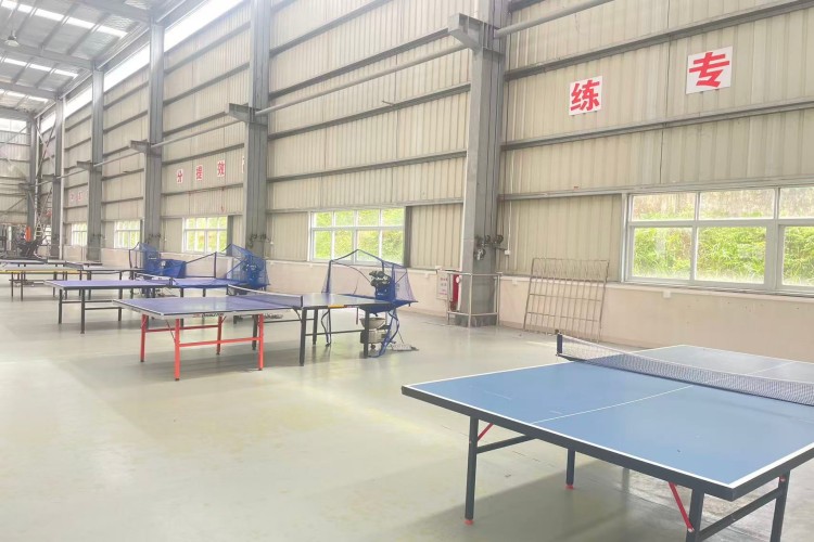 广东战龙青少年素质教育环境图