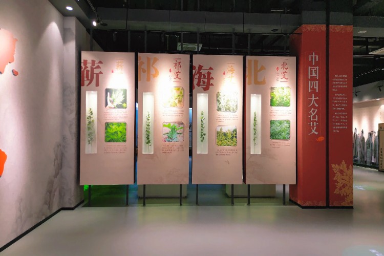 湖北蕲艾集团中慧职校校区环境