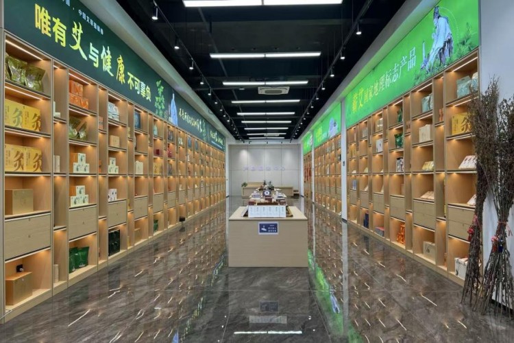 湖北蕲艾集团中慧职校校区环境