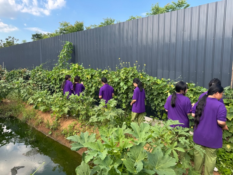 湖北心旅之家成长基地