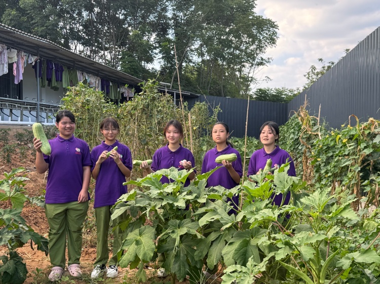 湖北心旅之家成长基地