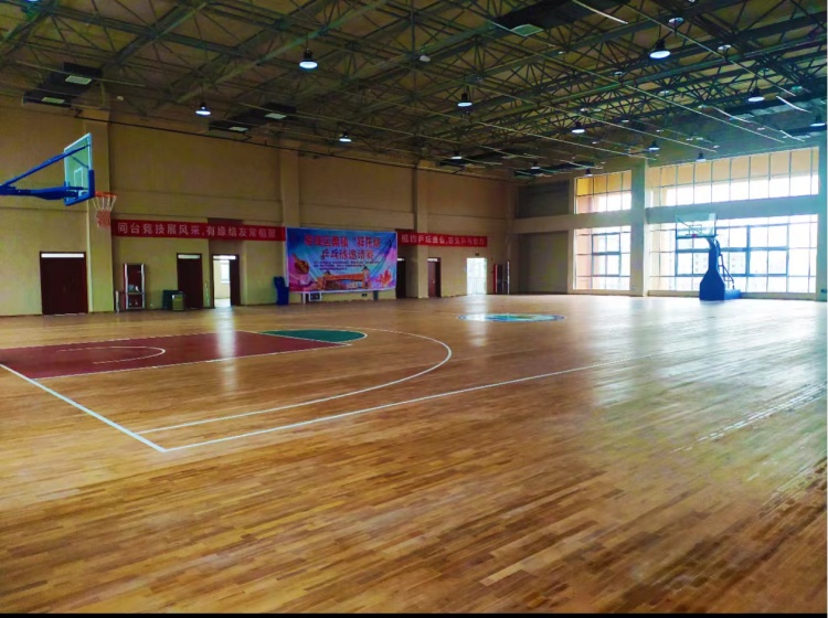 山东环帝祥龙素质教育