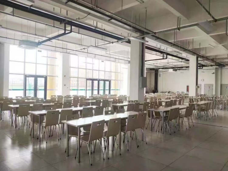 山东环帝祥龙素质教育