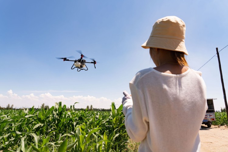 日照风向标无人机校区环境图