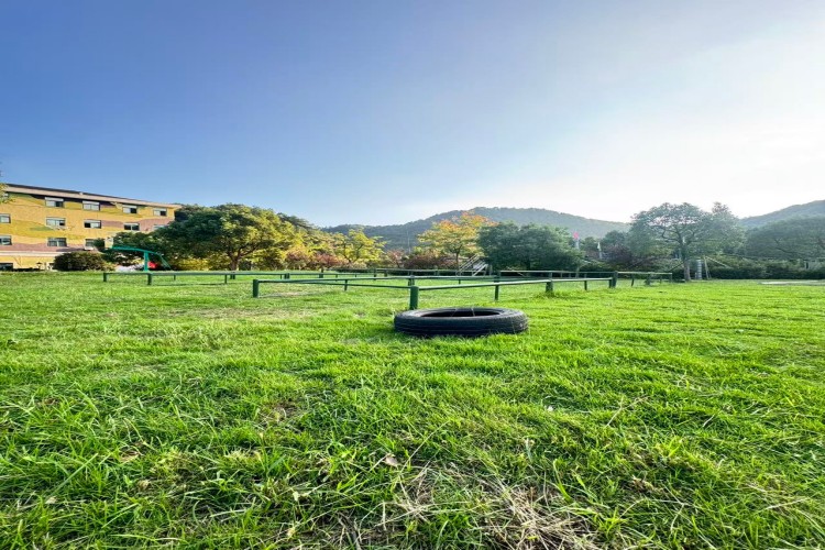 宁波青仑特训营地