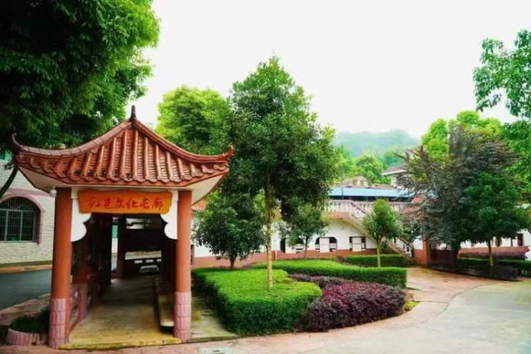 重庆心之初教育环境图